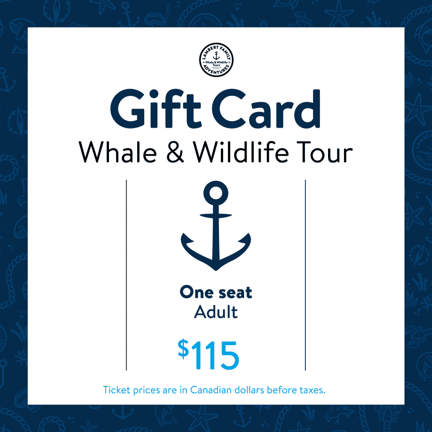 Whale & Wildlife Tour Gift Card